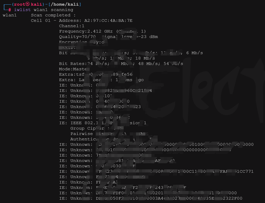 图片-1716198471930