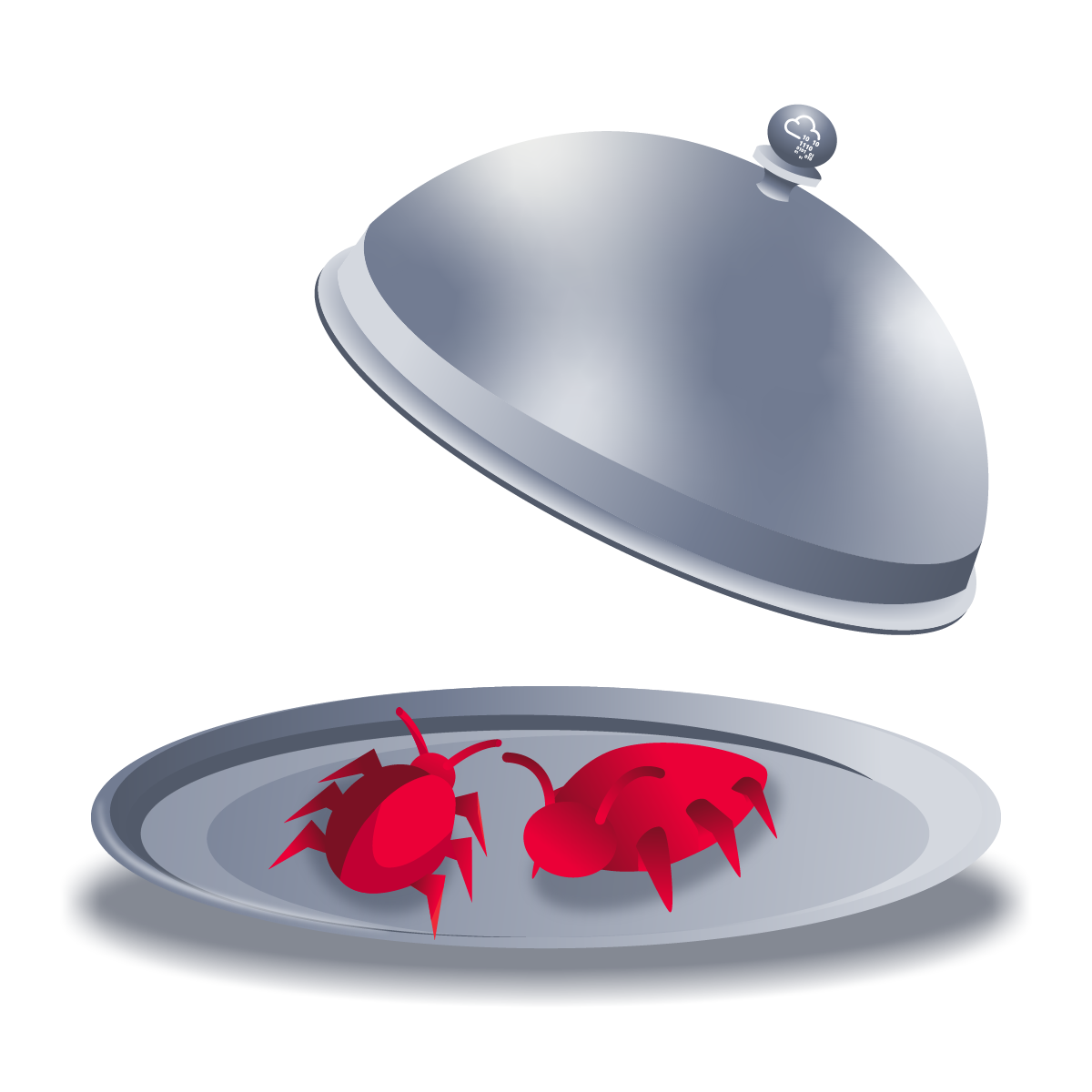 large picture of the cover